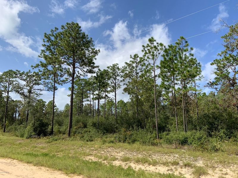 7976 Odom Ranch Trl, Keystone Heights, FL 32656