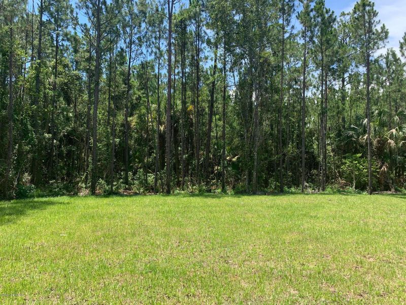 803 Avery St, St Augustine, FL 32084
