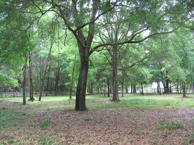 8056 Alderman Rd, Melrose, FL 32666