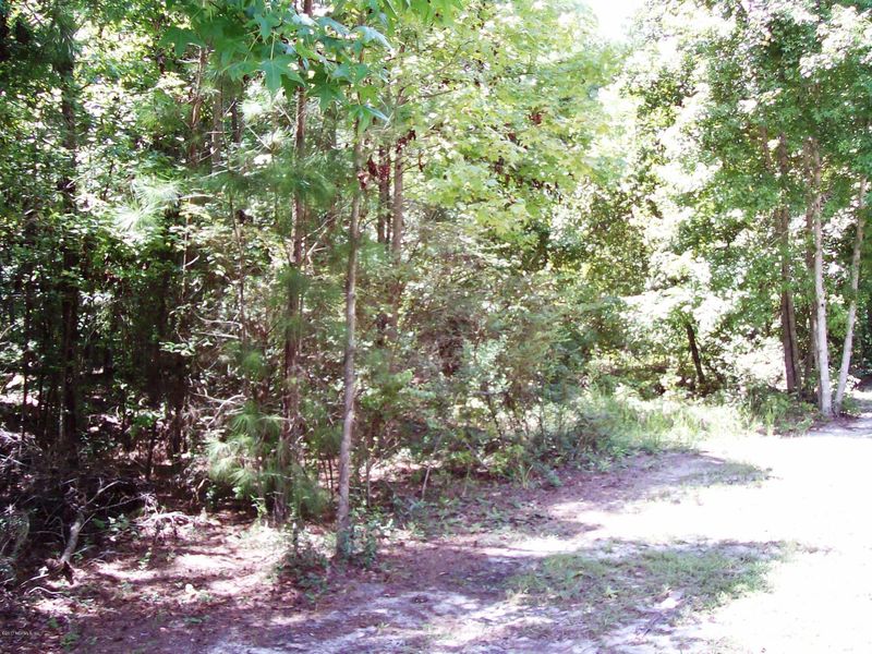 8156 Alderman Rd, Melrose, FL 32666