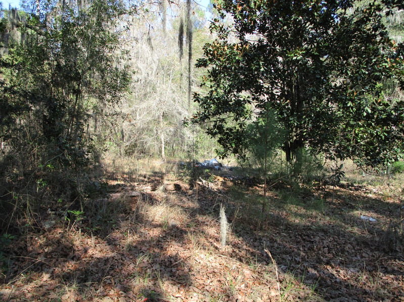 819 Gregory Rd, Jacksonville, FL 32234