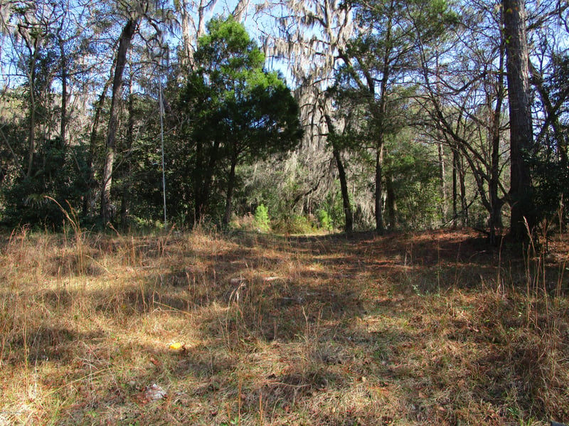 819 Gregory Rd, Jacksonville, FL 32234