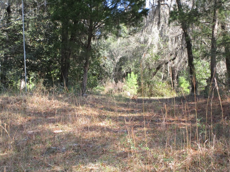 819 Gregory Rd, Jacksonville, FL 32234