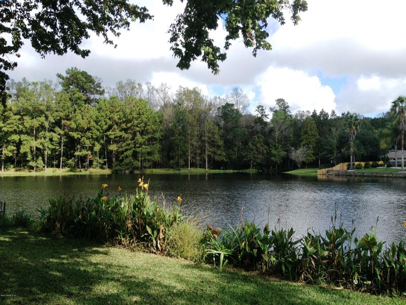 821 Wicklow Ct, Orange Park, FL 32065