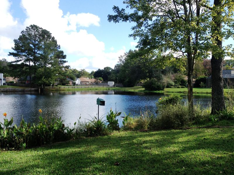 821 Wicklow Ct, Orange Park, FL 32065