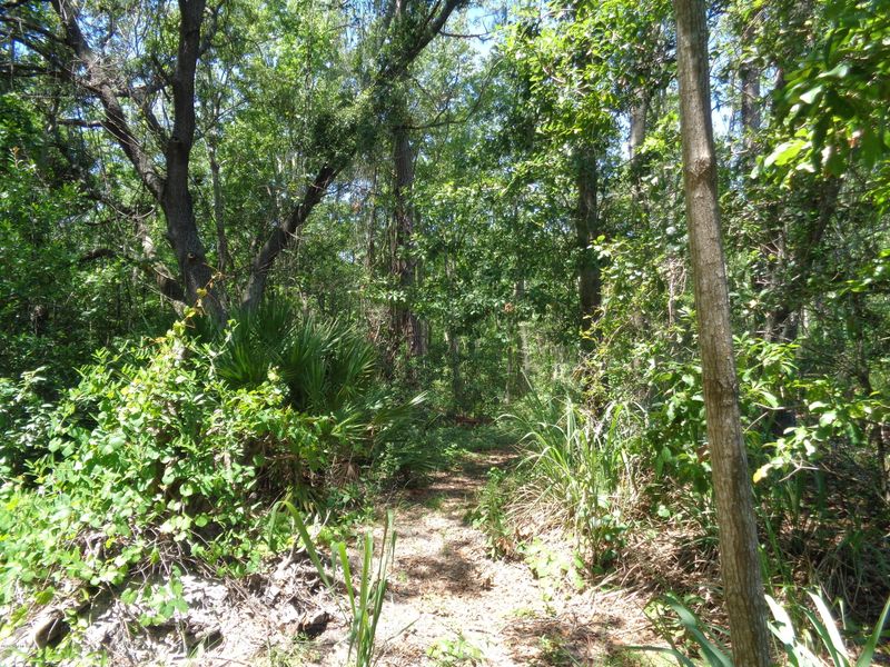8300 Merrill Rd, Jacksonville, FL 32277