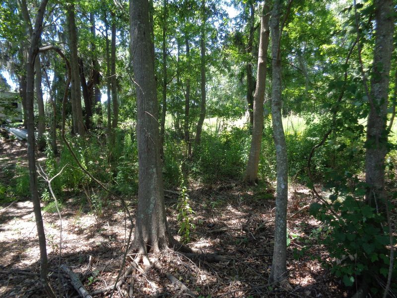 8300 Merrill Rd, Jacksonville, FL 32277