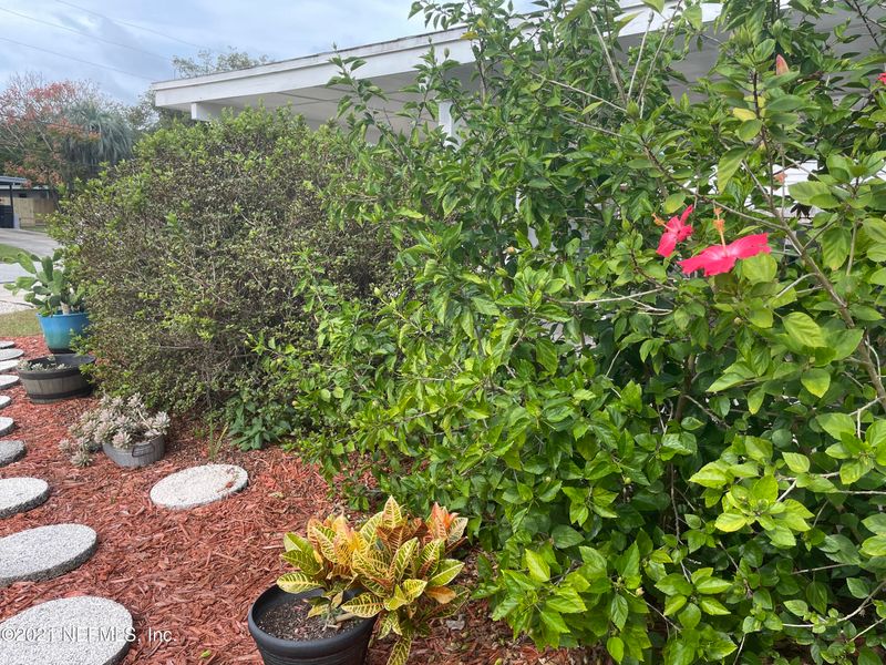 833 Middleton Rd, Jacksonville, FL 32211