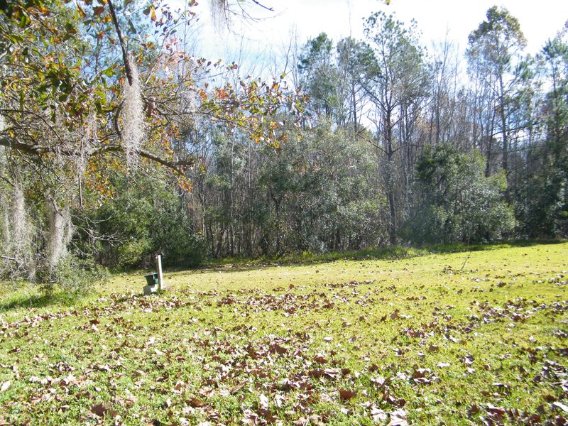 8450 Feldman Rd, Jacksonville, FL 32244