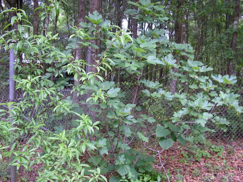 85090 Linda Rd, Yulee, FL 32097
