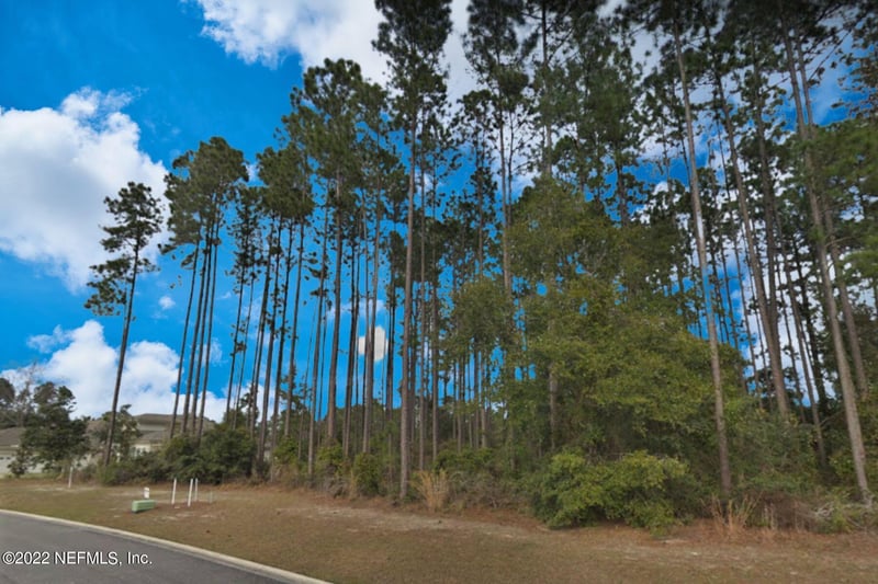 85144 Napeague Dr, Fernandina Beach, FL 32034
