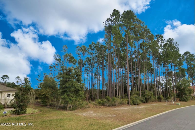 85144 Napeague Dr, Fernandina Beach, FL 32034