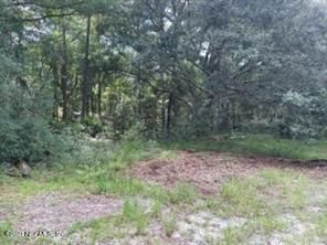 87115 Brooker Rd, Yulee, FL 32097