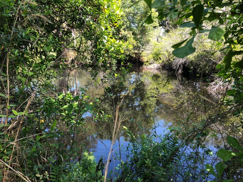 8770 Noroad, Jacksonville, FL 32210
