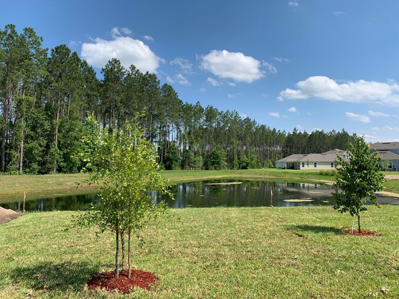 908 Shetland Dr, St Johns, FL 32259