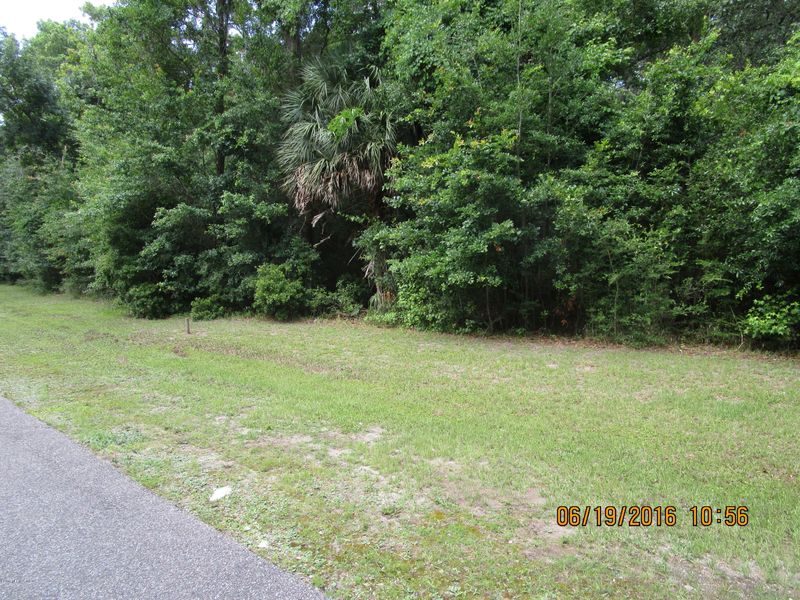 95241 Shell Midden Ln, Fernandina Beach, FL 32034