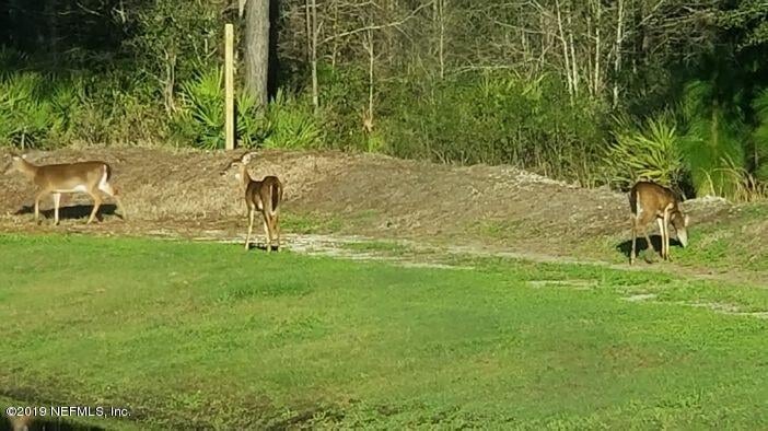 95543 Santa Juana Rd, Fernandina Beach, FL 32034