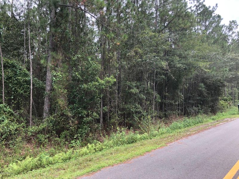9850 Dillon Ave, Hastings, FL 32145