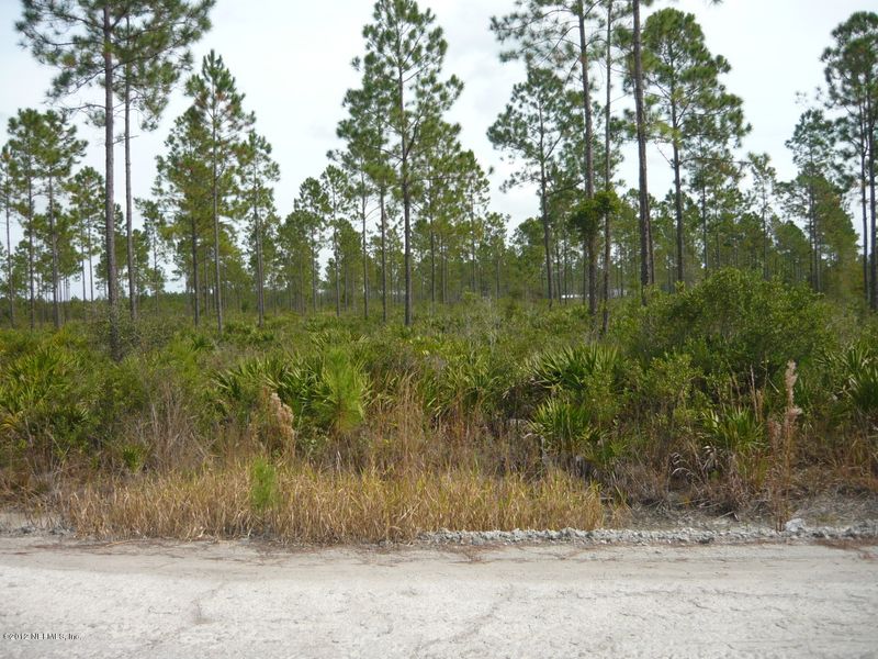 L-1264 Crossfire, Callahan, FL 32011