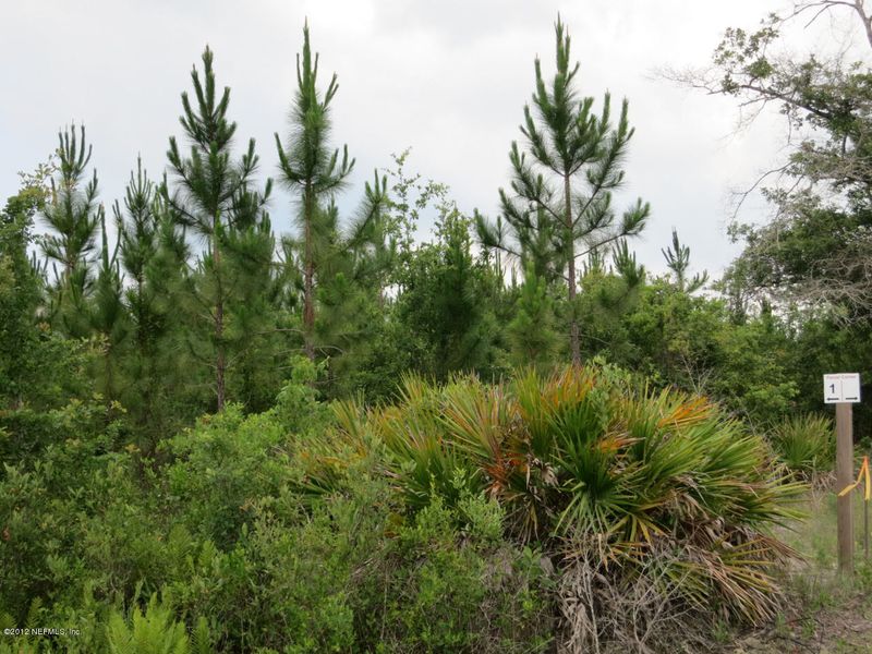 Lot 1 Goodwin Rd, Hilliard, FL 32046