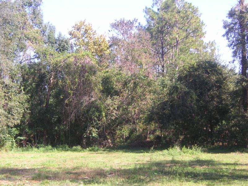 Lot 1 Lawhon Dr, St Johns, FL 32259