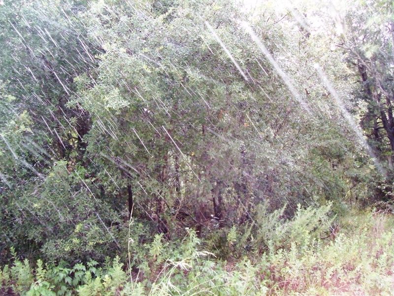 LOT 1 SE 3rd Ave, Keystone Heights, FL 32656