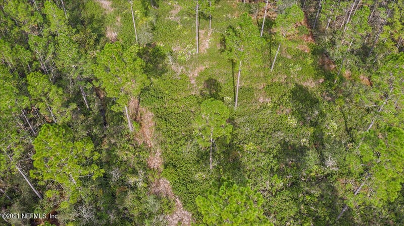 LOT 12A 0 Brady Acres Trl, Jacksonville, FL 32234