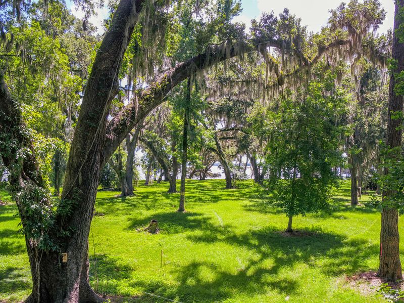 LOT 2 Cedar Run Replat, Fleming Island, FL 32003