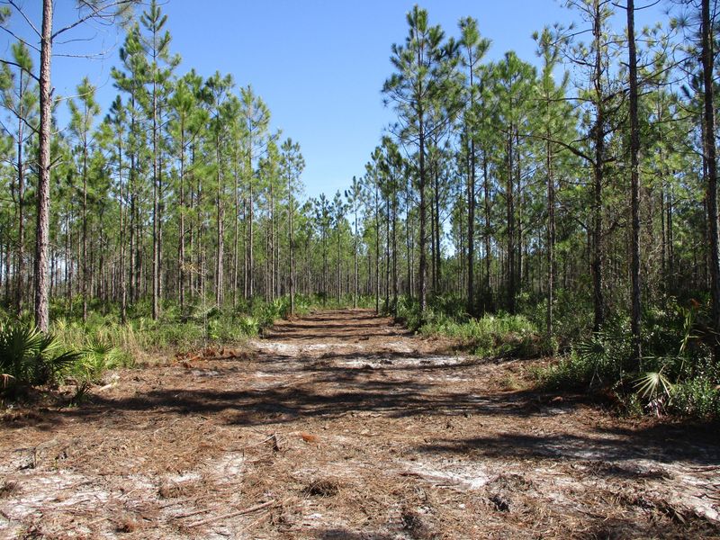 LOT 5 Old Dixie Hw, Hilliard, FL 32046