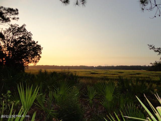 Lot 6 Dowling Dr, Yulee, FL 32097