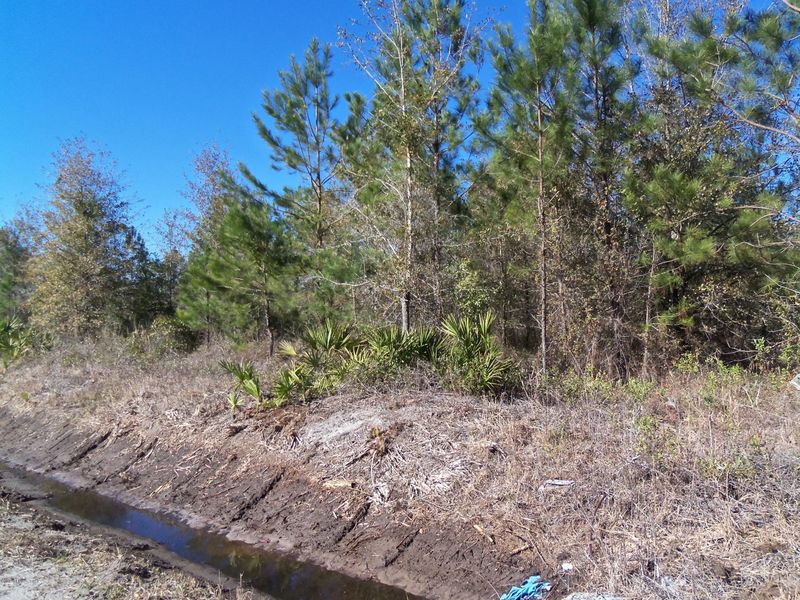 TBA Andrews Road 10 Ac, Hilliard, FL 32046