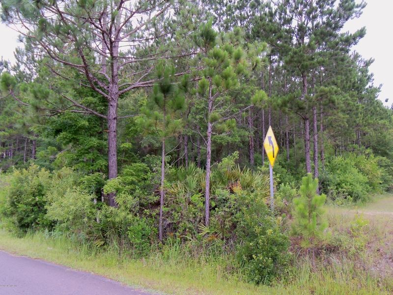TBA Musslewhite Rd, Callahan, FL 32011