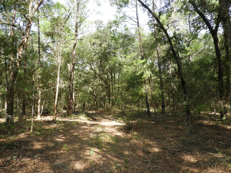 TBD Lily Lake Rd, Melrose, FL 32666