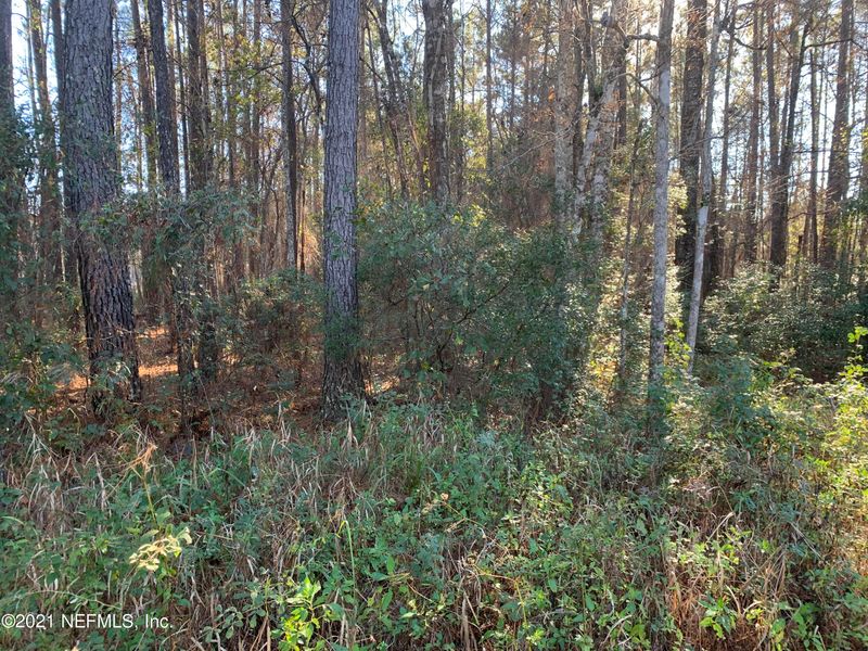 TRACT 2 Tracy Rd, Hilliard, FL 32046