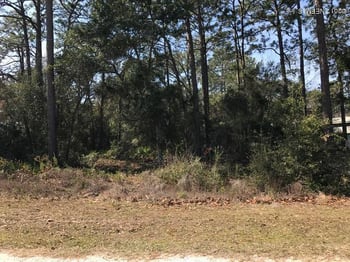 TRACT 58 Gerald Cir, Fernandina Beach, FL 32034