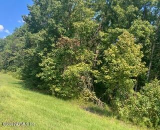0 217 County Road, Middleburg, FL 32234
