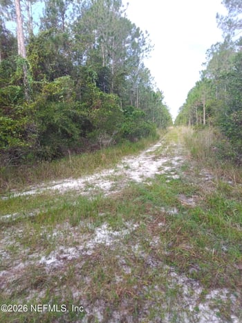 0 Amos, Hastings, FL 32145