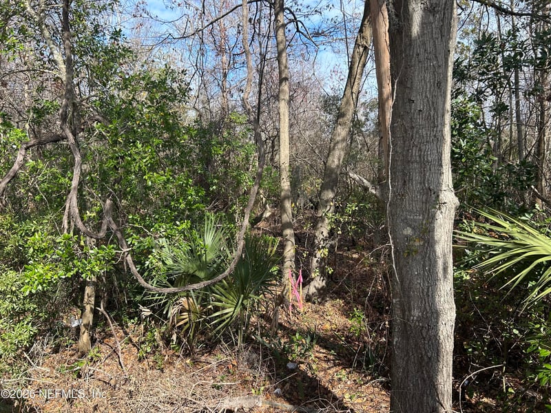 0 Beach Blvd, Jacksonville, FL 32224