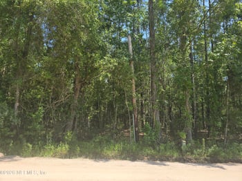 0 Bismark Rd, Callahan, FL 32011