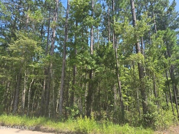 0 Bismark Rd, Callahan, FL 32011