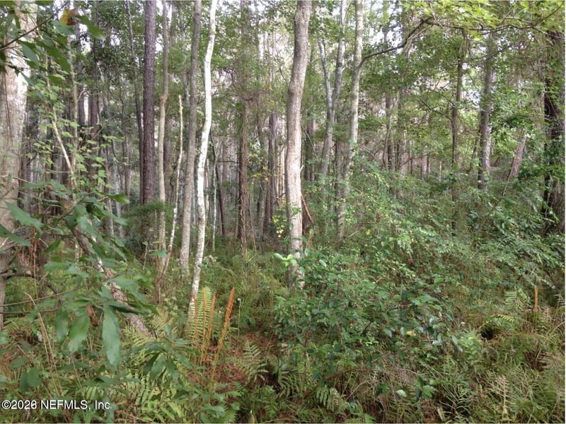 0 Carrol Rd, Jacksonville, FL 32246