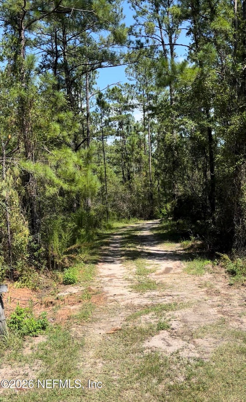 0 County Road 121, Hilliard, FL 32046