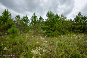 0 County Road 21b, Keystone Heights, FL 32656