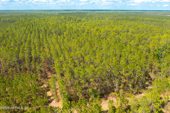 0 County Road 229, Sanderson, FL 32087