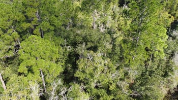 0 Dillon Ave, Hastings, FL 32145
