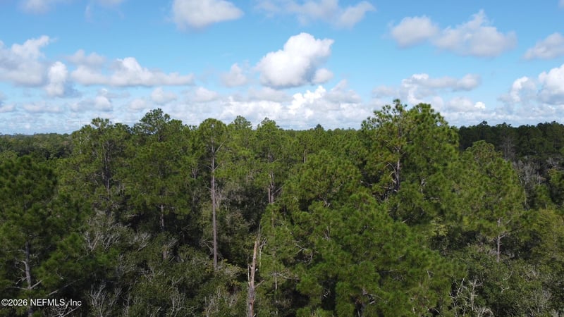 0 Dillon Ave, Hastings, FL 32145