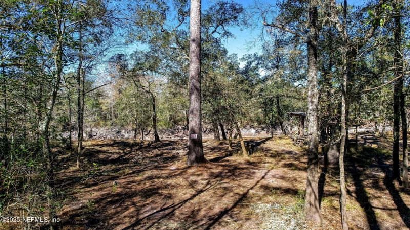 0 Ella Ave, Bryceville, FL 32009