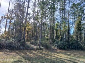 0 Flora Springs Rd S, Jacksonville, FL 32219