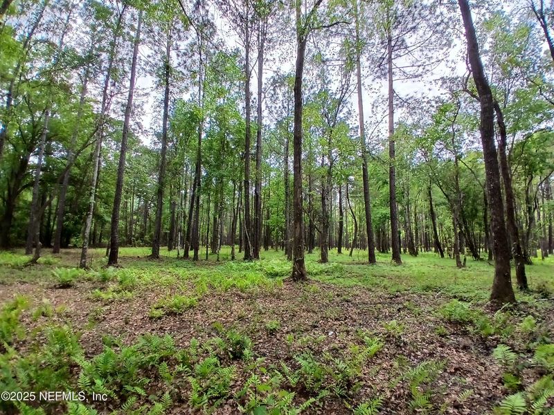 0 Kilpatrick Rd, Callahan, FL 32011