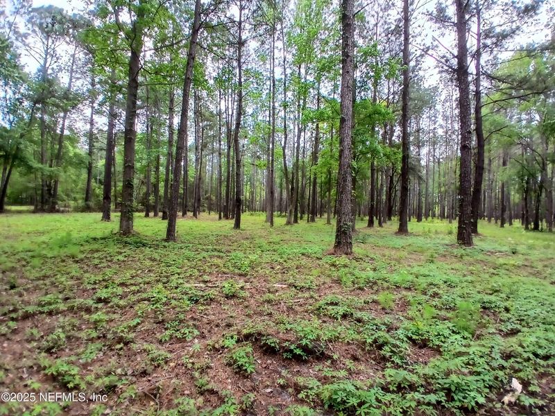 0 Kilpatrick Rd, Callahan, FL 32011